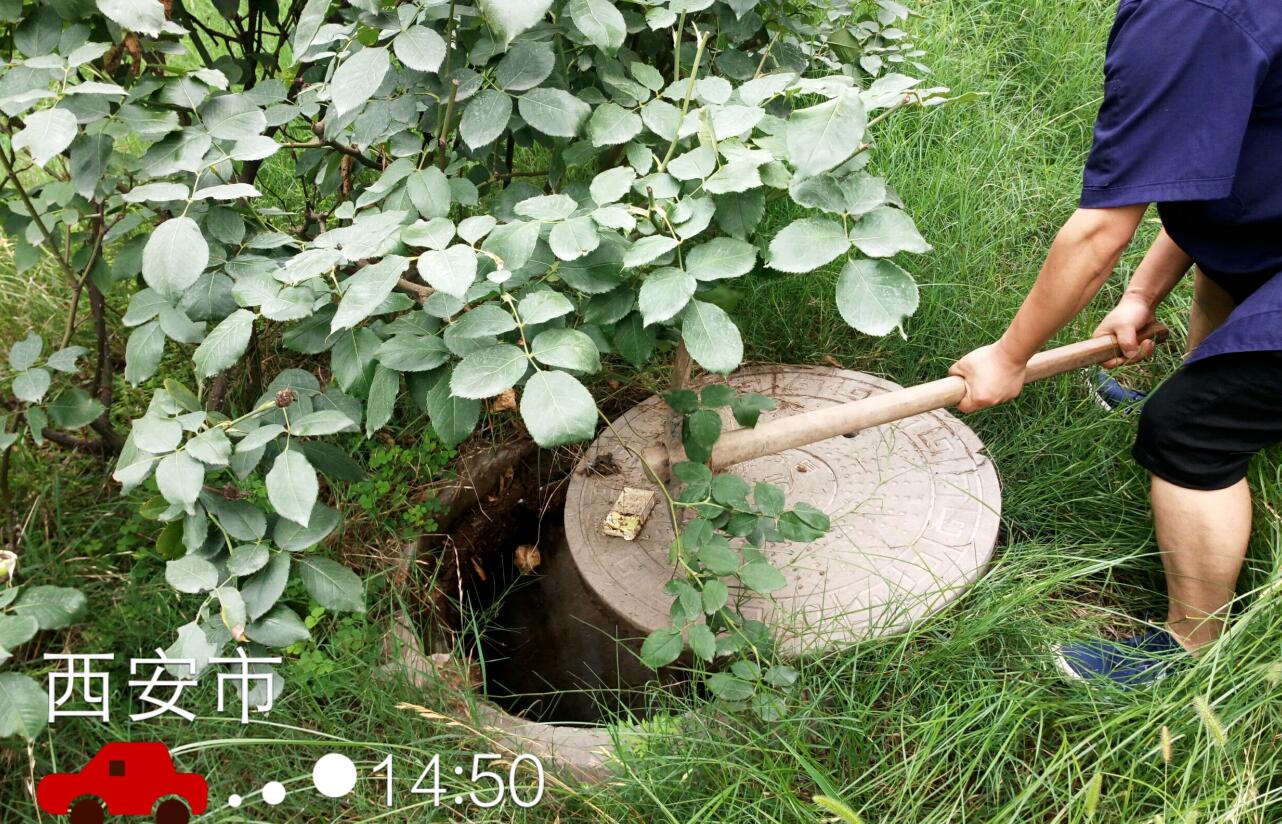 �����������������������Ѷ�����